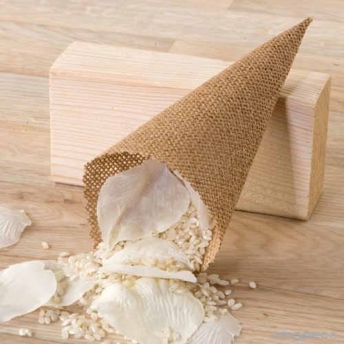 Coo yute portada - Los eventos de Moni-K